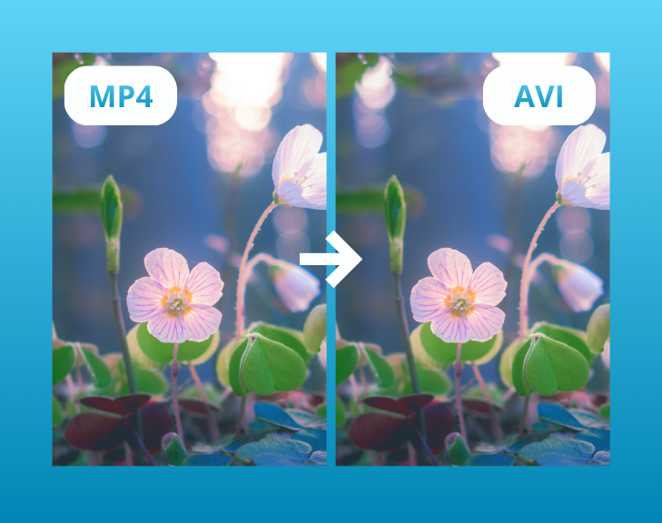 Как поменять MP4 на AVI