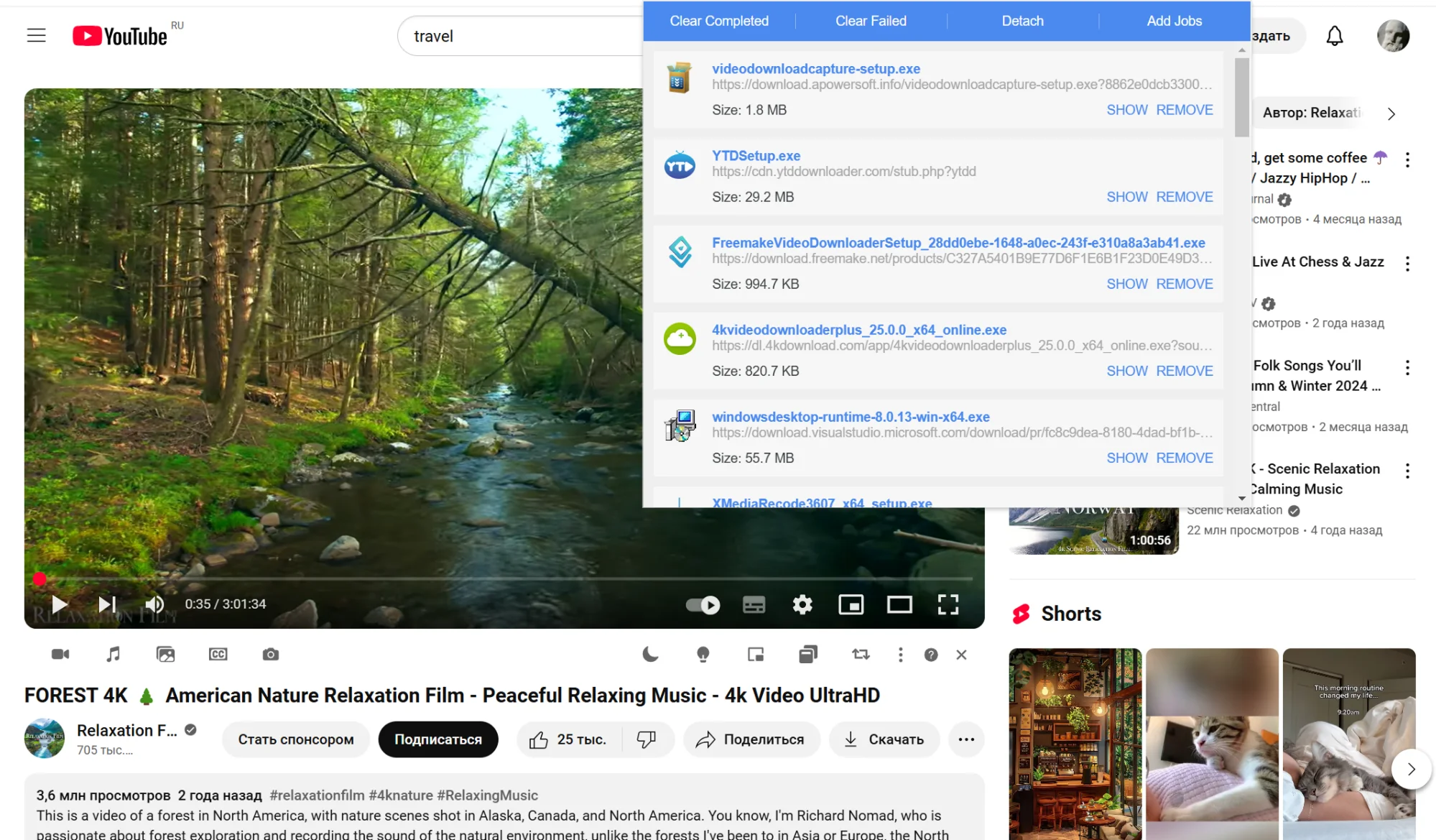 расширение Turbo Download Manager