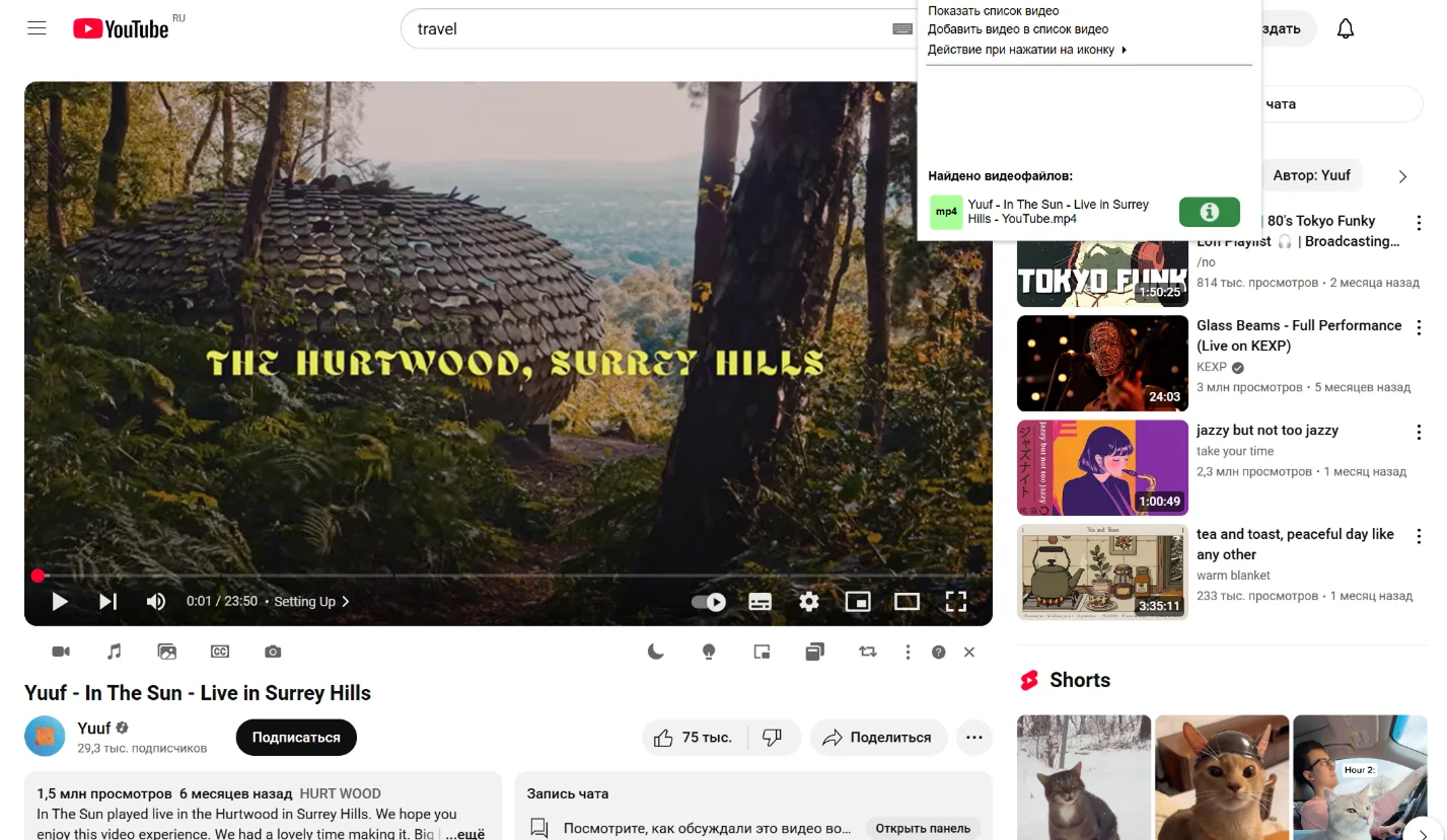 Интерфейс SaveFrom