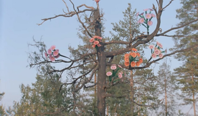 Цветы на дереве