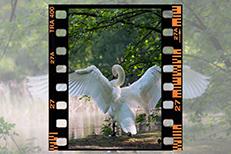 Как удалить кадр из видео