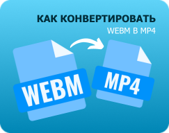ТОП-10 способов конвертации WEBM в MP4