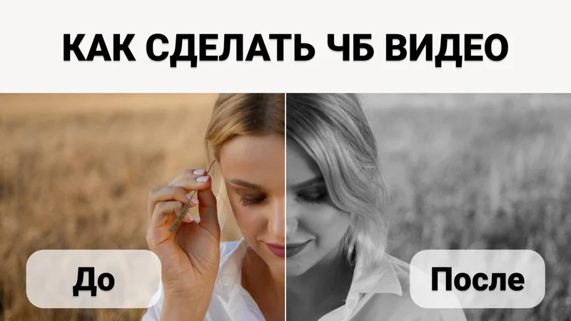 Как сделать видео черно-белым